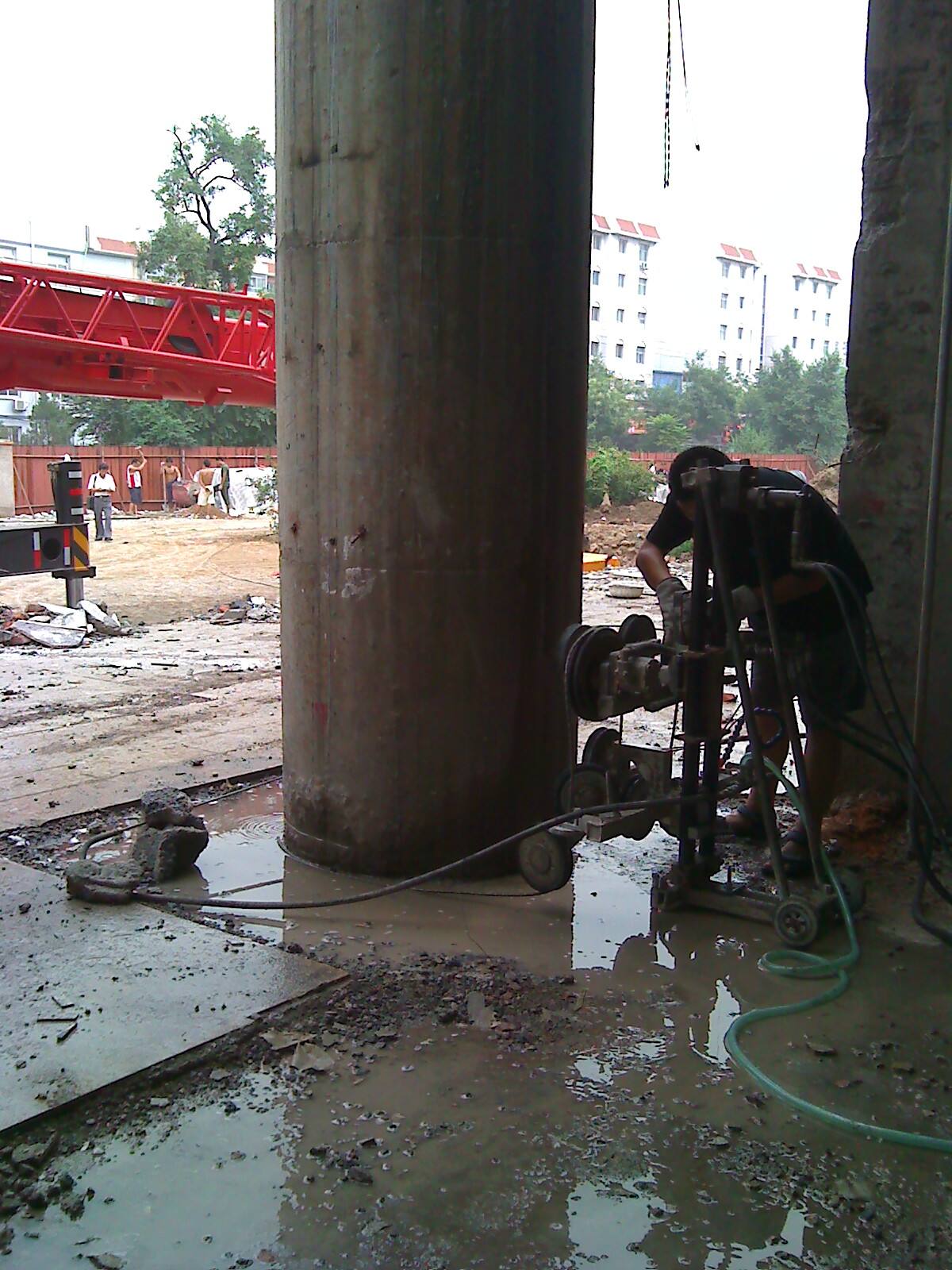 ֧���������